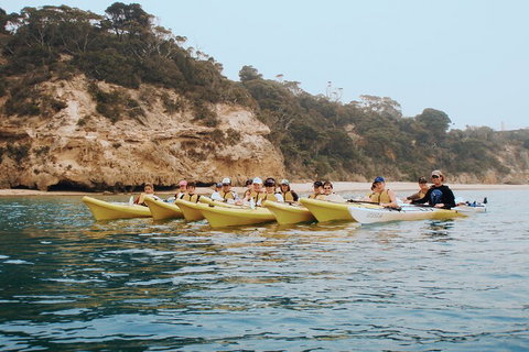Mornington Peninsula Kayak Coastline Tour Of Dolphin Sanctuary - Goulburn Accommodation 4