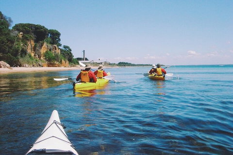 Mornington Peninsula Kayak Coastline Tour Of Dolphin Sanctuary - Goulburn Accommodation 5