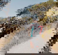 Self-Guided Point Nepean National Park Bike Hire - Goulburn Accommodation