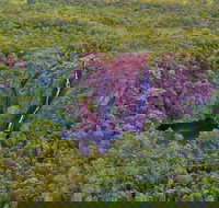 Litchfield Park  Daly River - Scenic Flight From Darwin - Goulburn Accommodation