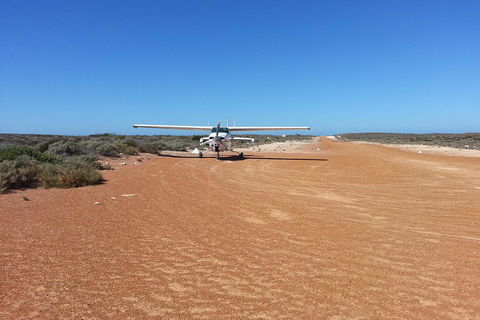 Abrolhos Islands Scenic Flight & Snorkel Adventure From Perth - Goulburn Accommodation 3