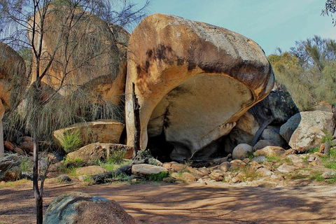 Wave Rock Half Day Air & Ground Tour - Goulburn Accommodation 1