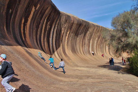 Wave Rock Half Day Air & Ground Tour - Goulburn Accommodation 2