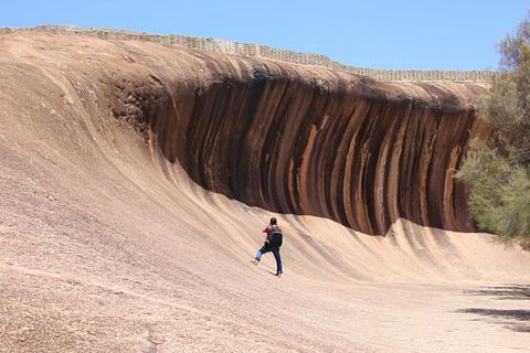 Wave Rock Half Day Air & Ground Tour - Goulburn Accommodation 3