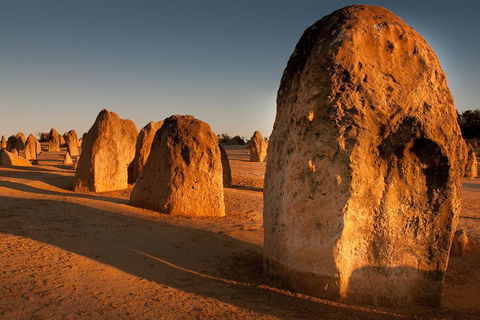 Wave Rock And Pinnacles Air & Ground Tour - Goulburn Accommodation 1