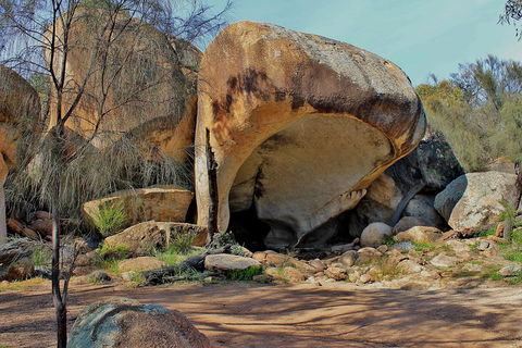 Wave Rock And Pinnacles Air & Ground Tour - Goulburn Accommodation 3