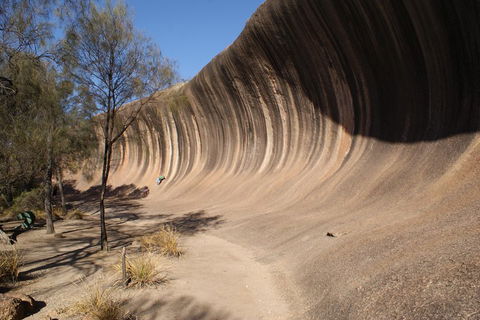 Wave Rock And Pinnacles Air & Ground Tour - Goulburn Accommodation 5