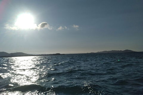 Townsville Small Group Early Morning Sailing Cruise Boat Tour Charter Hire - Goulburn Accommodation 4