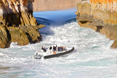 Horizontal Falls Half-Day Tour From Broome - Goulburn Accommodation 1