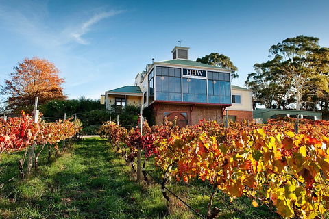 Adelaide Hills Food, Wine, Cheese, & Chocolate - Private Day Tour - Goulburn Accommodation 3