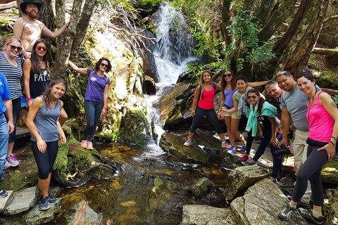 7-Day Super Value Tour Of Tasmania: Explore Tasmania's West And East Coasts - Goulburn Accommodation 2