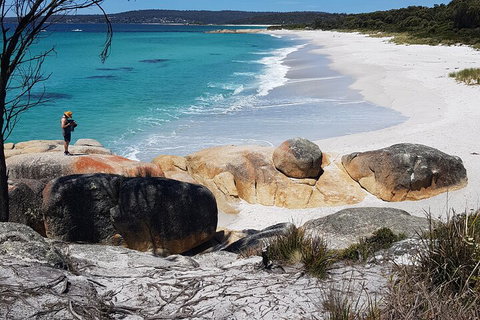 2-Day Tas East Coast Escape Tour Including Bay Of Fires, Wineglass Bay & Devils - Goulburn Accommodation 4