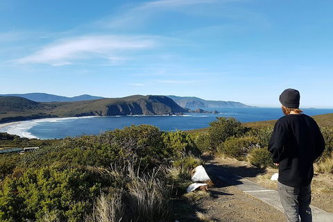 4-Day Fabulous Tasmania Tour: Wineglass Bay, Port Arthur, Devils & Bruny Island - Goulburn Accommodation 0