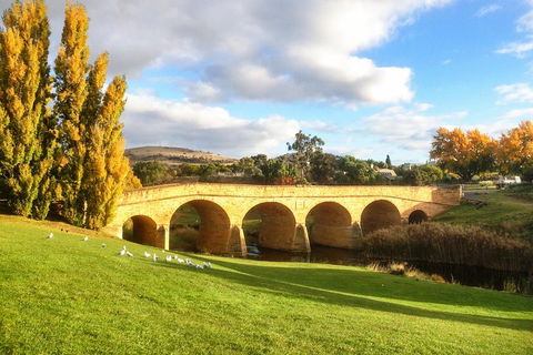 4-Day Fabulous Tasmania Tour: Wineglass Bay, Port Arthur, Devils & Bruny Island - Goulburn Accommodation 1