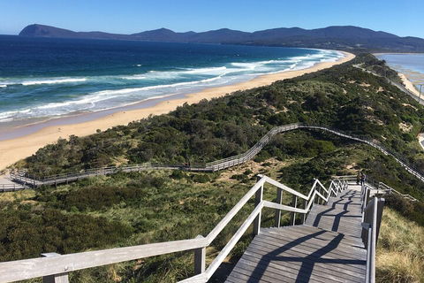 4-Day Fabulous Tasmania Tour: Wineglass Bay, Port Arthur, Devils & Bruny Island - Goulburn Accommodation 5
