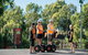 Adelaide Riverbank Guided Segway Tour - thumb 4