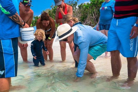 Whitehaven Beach And Hamilton Island Cruise - Goulburn Accommodation 1