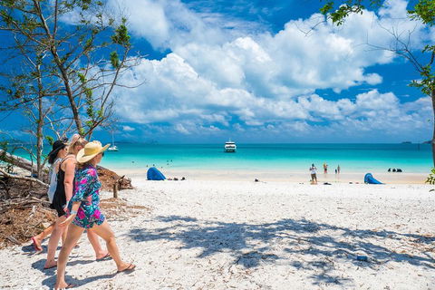 Whitehaven Beach Half-Day Cruises - Goulburn Accommodation 1