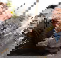 Bonorong Wildlife Park and Richmond Afternoon Tour from Hobart - Goulburn Accommodation