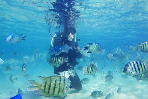 Adventure Moreton Island Scuba Dive Tour - Goulburn Accommodation 1