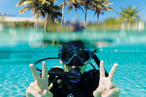 Adventure Moreton Island Scuba Dive Tour - Goulburn Accommodation 2