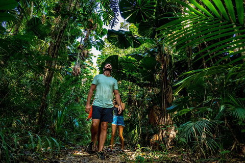 Full Day Daintree Rainforest And Mossman Gorge Tour - Goulburn Accommodation 0