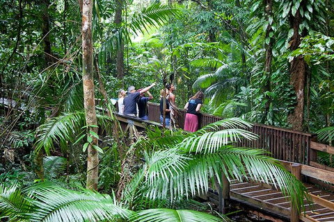 Full Day Daintree Rainforest And Mossman Gorge Tour - Goulburn Accommodation 1