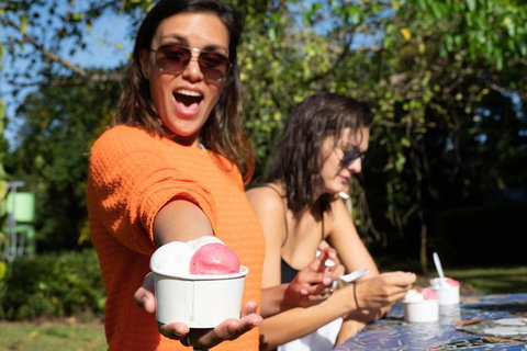 Full Day Daintree Rainforest And Mossman Gorge Tour - Goulburn Accommodation 3