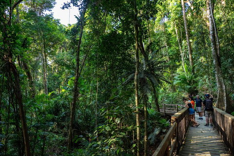 Full Day Daintree Rainforest And Mossman Gorge Tour - Goulburn Accommodation 5