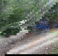 Cairns ATV Adventure Tour and Morning Train - Goulburn Accommodation