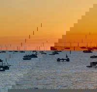 Darwin Hop-on Hop-off Bus Tour - Goulburn Accommodation