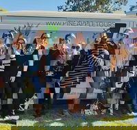 Full Day Mount Tamborine Winery Tour from Gold Coast - Goulburn Accommodation