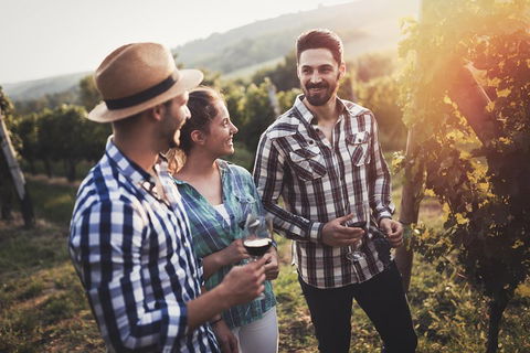Full Day Mount Tamborine Winery Tour From Gold Coast - Goulburn Accommodation 5