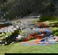 Mt Tamborine - Hinterland Wonders Self Guided - Goulburn Accommodation