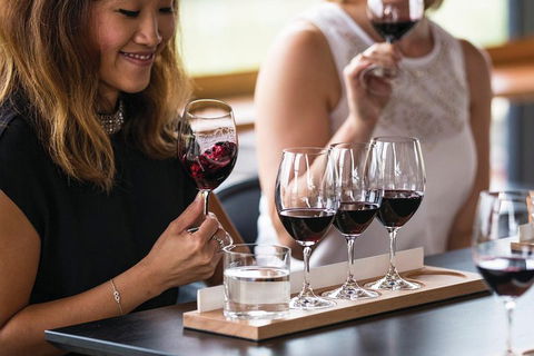 Adelaide Hills Regional / Hahndorf German Village Tour - Goulburn Accommodation 5