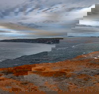 Kangaroo Island Luxury Small Group 'Flinders Chase Focus' Full Day Tour - Goulburn Accommodation