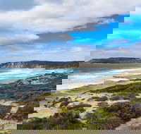 Kangaroo Island Luxury Small Group 'East End Explorer' Full Day Tour - Goulburn Accommodation