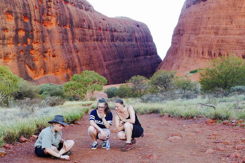 Afternoon Kata Tjuta Small Group Tour - Goulburn Accommodation 2