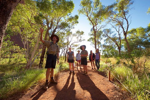 Uluru Small Group Tour Including Sunset - Goulburn Accommodation 0