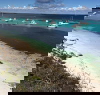 Experience Rottnest with Ferry  Bike Hire from Perth or Fremantle - Goulburn Accommodation
