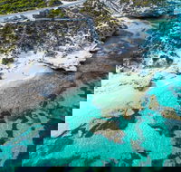 Rottnest Island Round-Trip Ferry from Perth or Fremantle - Goulburn Accommodation