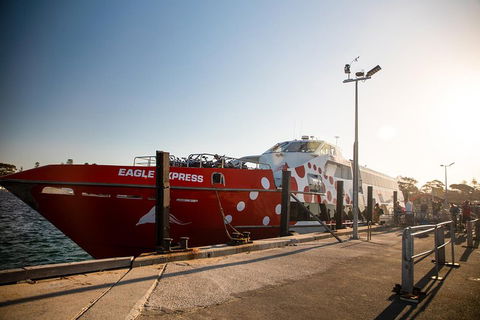 Rottnest Island Round-Trip Ferry From Perth Or Fremantle - Goulburn Accommodation 2