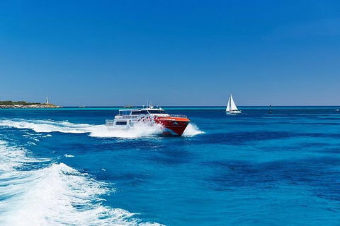 Rottnest Island Round-Trip Ferry From Perth Or Fremantle - Goulburn Accommodation 4