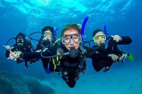 Great Barrier Reef Diving And Snorkeling Cruise From Cairns - Goulburn Accommodation 0