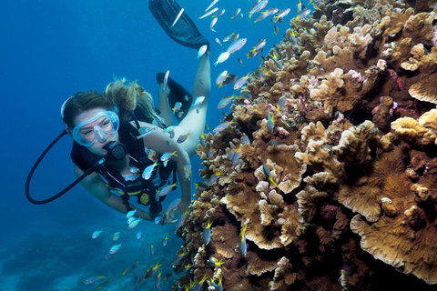 Great Barrier Reef Diving And Snorkeling Cruise From Cairns - Goulburn Accommodation 1