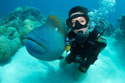 Great Barrier Reef Diving And Snorkeling Cruise From Cairns - Goulburn Accommodation 2