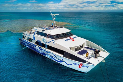 Great Barrier Reef Diving And Snorkeling Cruise From Cairns - Goulburn Accommodation 5