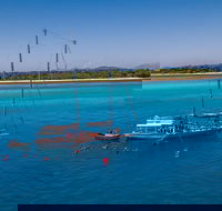 Ocean Free Green Island  Great Barrier Reef Snorkel Cruise Cairns 25 guests - Goulburn Accommodation