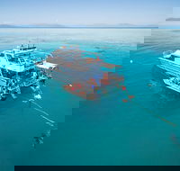 Ocean Freedom Great Barrier Reef Personal Luxury Snorkel  Dive Cruise Cairns - Goulburn Accommodation