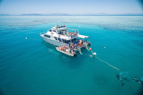 Ocean Freedom Great Barrier Reef Personal Luxury Snorkel & Dive Cruise, Cairns - Goulburn Accommodation 0